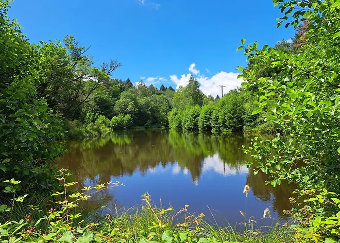 Bed and breakfast Lavallade12 Chambers D'hotes Roussines